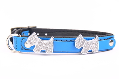 Ошейник для собак ZOOLESZCZ "Jewel", голубой, обхват шеи 40 см