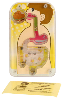 Набор для исследования Simba Опыты: тело человека и рыбы TX-10011