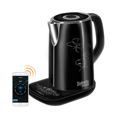Умный чайник Redmond SkyKettle M170S-E Black