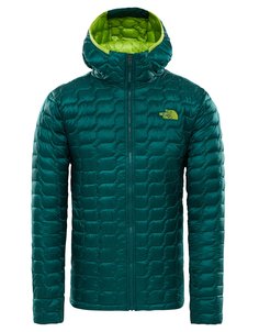 Спортивная куртка мужская The North Face Thermoball Hoodie, botanical garden, L