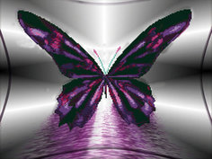 KU009/Бабочка - алмазная картина Color KIT