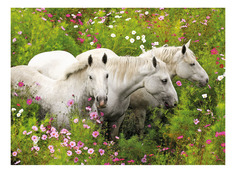 Пазл Ravensburger XXL Лошади в поле цветов 300 деталей