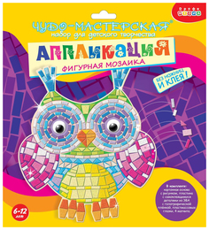 Аппликация Дрофа-Медиа Сова 6+