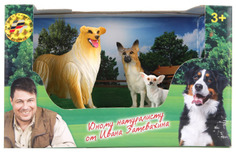 Игровой набор Играем Вместе 9517-1-2-3-4