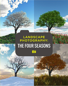 Digital Landscape Photography - The Four Seasons Thames & Hudson