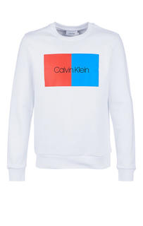 Свитшот мужской Calvin Klein белый 56