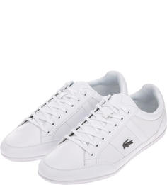 Кроссовки мужские Lacoste 737CMA009421GT белые 42.5