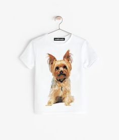 Футболка Alexander Konasov York р.36