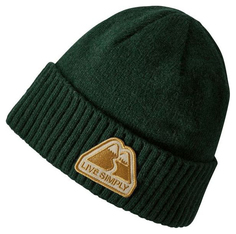 Шапка мужская Patagonia Brodeo Beanie темно-зеленая One Size