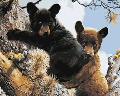 Картина по номерам Paintboy "Пара медвежат", 40x50 см