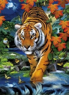 Холст с красками "Палитра. Рисование по номерам. Крадущийся тигр", 40х50 см Рыжий кот