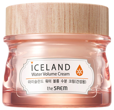 Крем для лица The Saem Iceland Water Volume Hydrating Cream - Dry Skin 80 мл