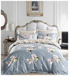 Постельное белье Asabella Dandy (2 спальное евро)