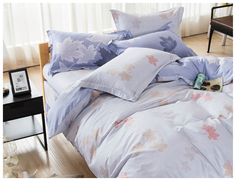 Постельное белье сатин Cleo 313-SL семейное