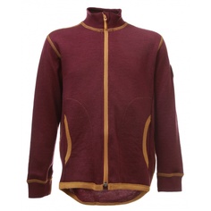 Толстовка Janus Сливовый р.160