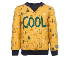 Толстовка Lucky Child Желтый р.128