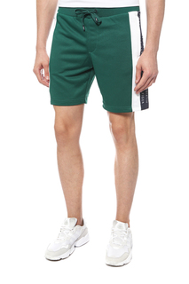 Шорты мужские Tommy Hilfiger MW0MW08733 зеленые XL