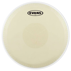 Пластик EVANS EC1100