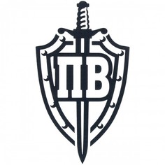 Наклейка на автомобиль "Пограничные войска" черная виниловая 10х17 VS