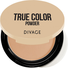 Пудра DIVAGE Compact Powder True Color, тон №04