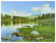 Разделочная доска Best Home Kitchen Горная Река (20х30 см)