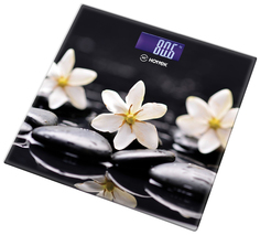 Весы напольные Hottek HT-962-012