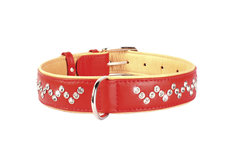 Ошейник "CoLLaR brilliance" со стразами (ширина 35мм, длина 46-60см) красный