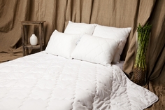 NatureS Одеяло Лунная Соната Всесезонное (200х220 см)