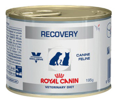 Консервы для кошек и собак ROYAL CANIN Recovery, домашняя птица, 195г