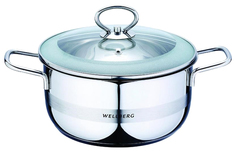 Кастрюля Wellberg WB-8043 Серебристый