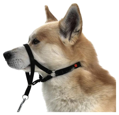 Намордник для собак TRIXIE для собак тренировочный L-XL 37 см длина поводка 48-60 см