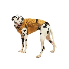 Попона для собак Тузик теплая, № 7, 60см