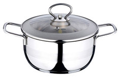 Кастрюля Wellberg WB-8041 Серебристый