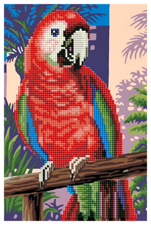 Мозаики Рыжий кот ACF013 Красный попугай 20x30 без подрамника 22 цветов
