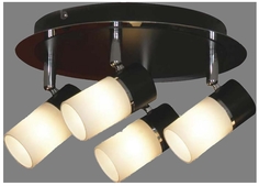 Спот Lussole Siliqua LSQ-6101-04