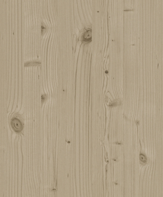 Виниловые обои Rasch Passepartout 606256