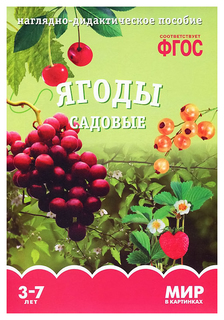 ФГОС Мир в картинках, Ягоды садовые, Мозаика Синтез