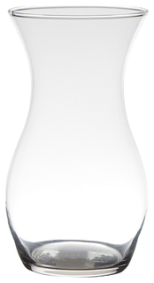 Ваза Hakbijl Glass 19271h Прозрачный