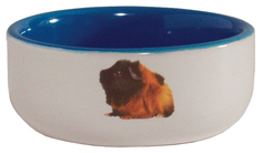Одинарная миска для грызунов Beeztees, керамика, белый, голубой, 0.16 л