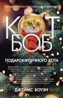 Подарок уличного кота Рипол Классик
