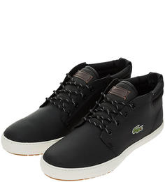 Кеды мужские Lacoste 738CMA0028454T черные/коричневые 8.5 FR
