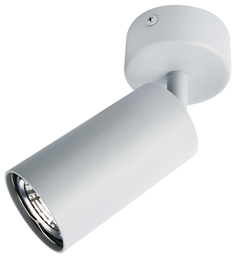 Спот Arte lamp Aquarius A3216PL-1GY