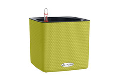 Горшок с автополивом LECHUZA Cube 16 Лайм