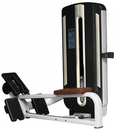 Скамья горизонтальная Bronze Gym MNM-012A