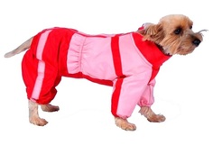 Комбинезон для собак ТУЗИК размер XL мужской, красный, розовый, длина спины 40 см