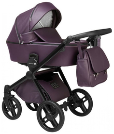 Коляска 2 в 1 Lonex Emotion XT Eco Purple
