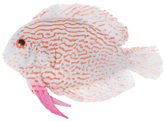 Декорация для аквариума Jelly-Fish Рыба Диск малая 0788
