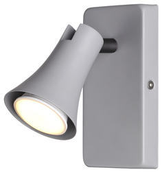 3825/1W Спот Odeon Light Reanna