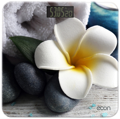 Весы напольные ECON ECO-BS004