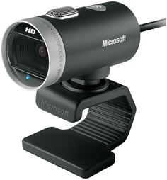 Web-камера SanDisk SDDR-121-G35 Серебристый, черный Microsoft